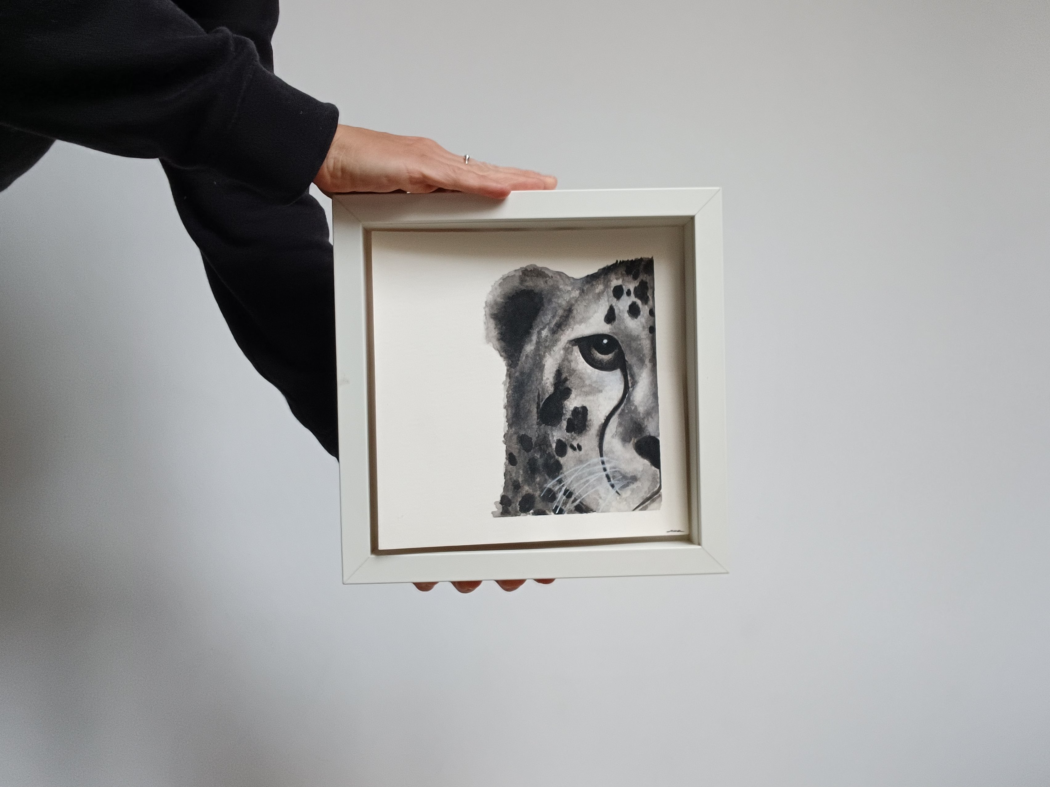 Guepard